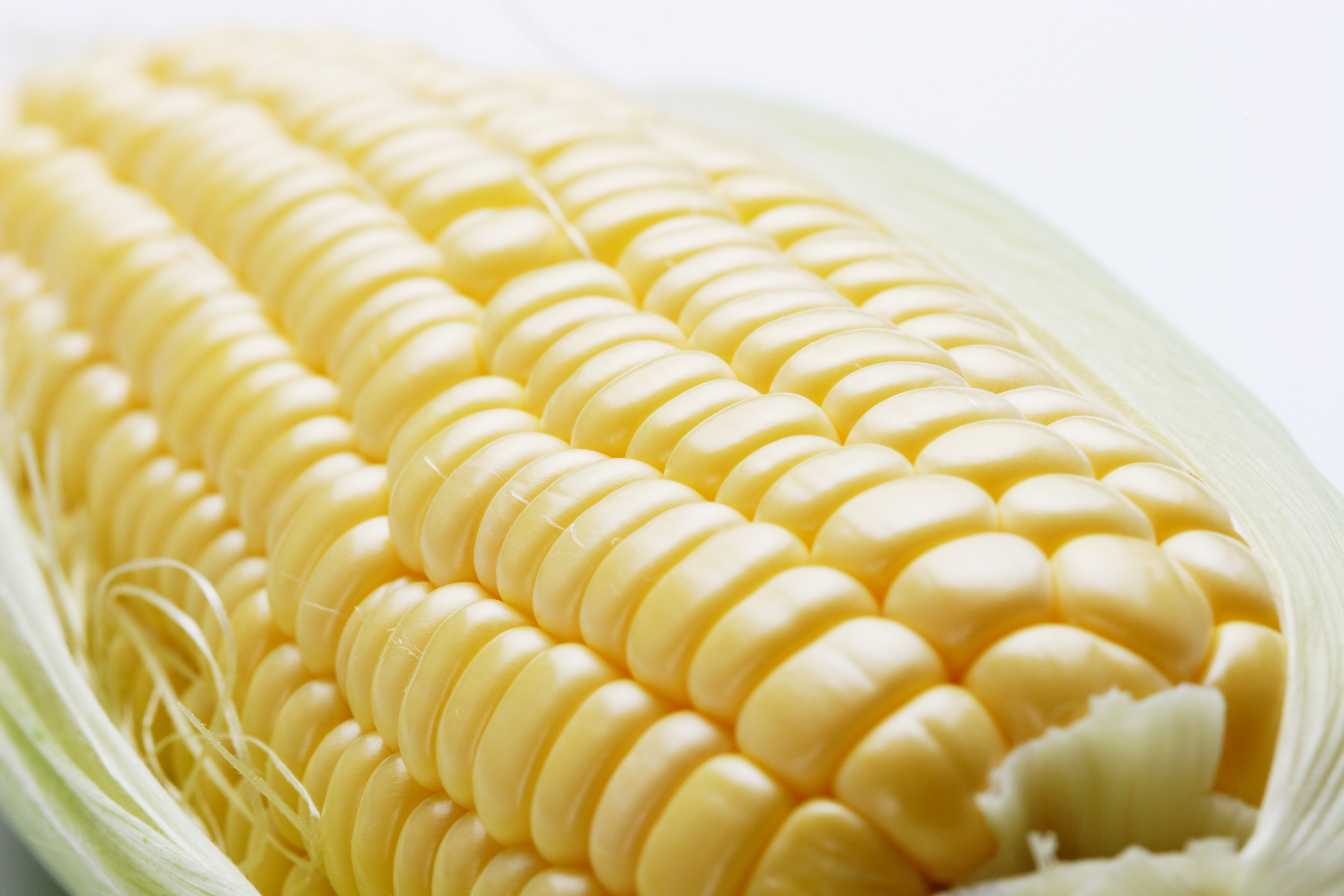 九州青果プロジェクト